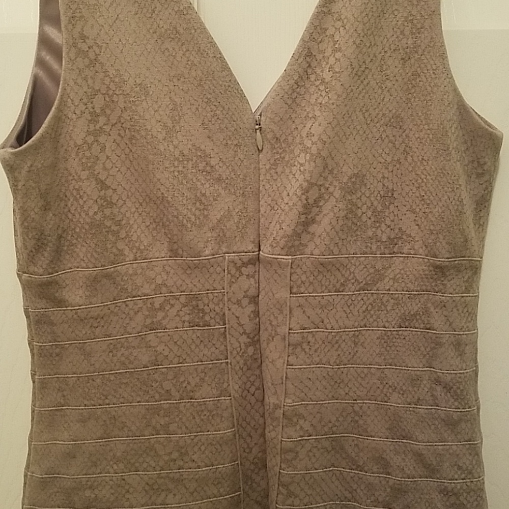 Express Dress - Picture 4 of 6